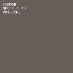 #665F5B - Pine Cone Color Image